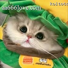 Once Mekel profile picture